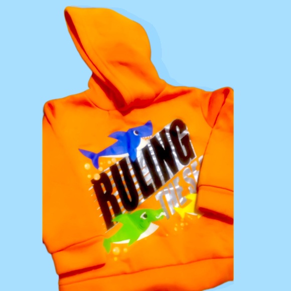 3t boys baby shark hoodie - Picture 1 of 1